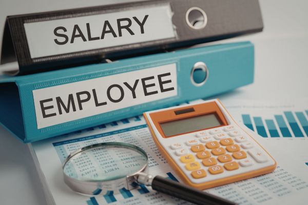 Salary Processing